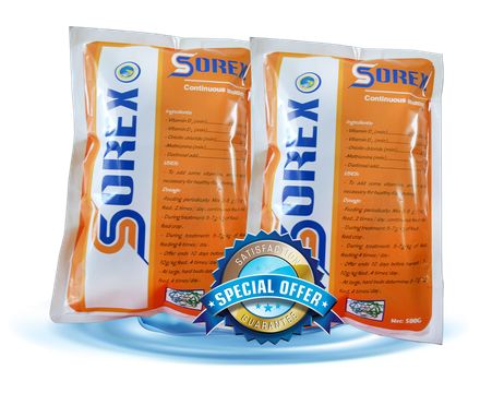 SOREX - Tăng trọng nhanh, chống còi.
