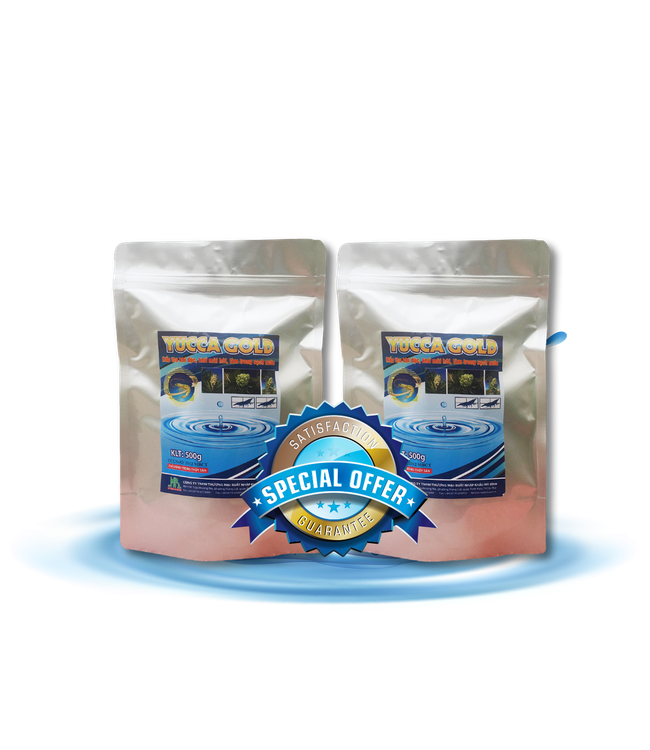 YUCCA GOLD - Hấp thu khí độc trong ao, khử mùi hôi trong ao tôm