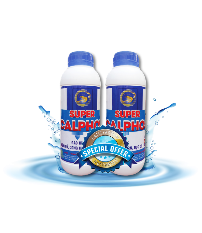 SUPER CALPHOS - Phòng ngừa mềm vỏ, cong thân, đục cơ.