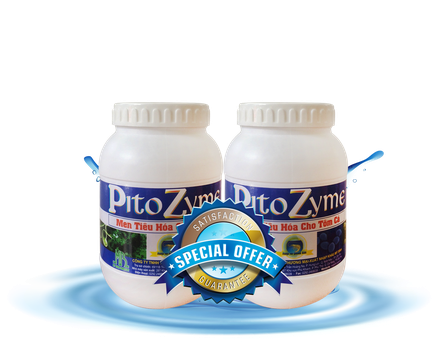 PITO ZYME – Tiêu hóa nhanh, phòng các bệnh đường ruột