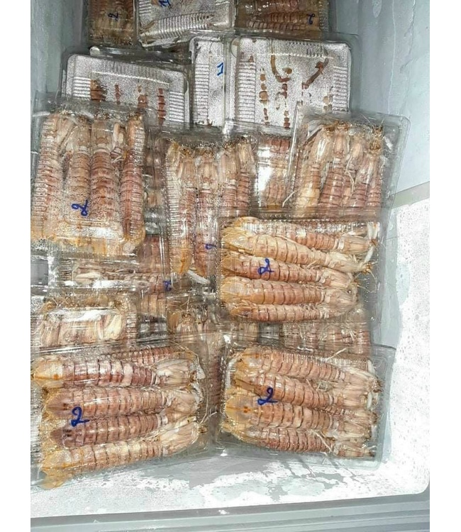Hải sản tươi sống