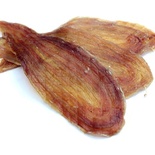 Khô rắn