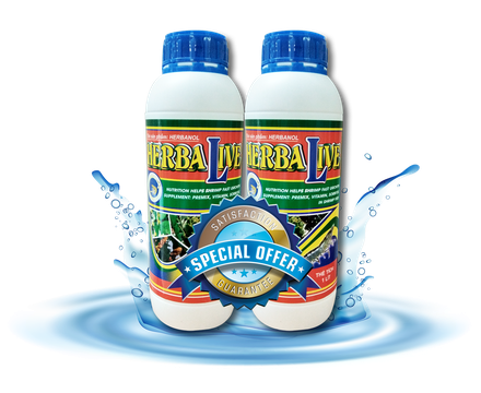 HERBALIVE - Thảo dược bổ gan
