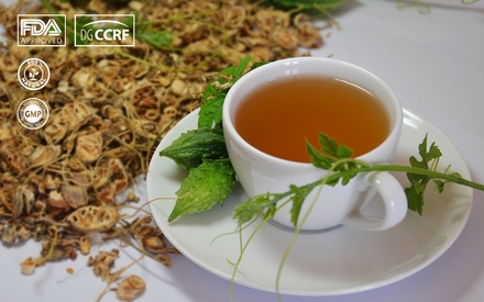 TRÀ TÚI LỌC KHỔ QUA RỪNG MUDARU