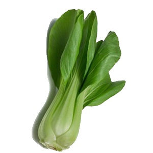 Cải thìa