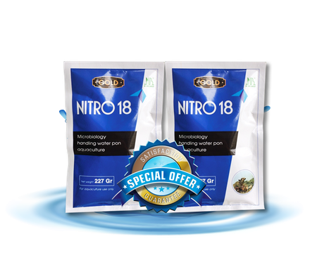 NITRO 18 GOLD - Làm sạch nước ao tôm, bùn dơ, phân hủy lab lab