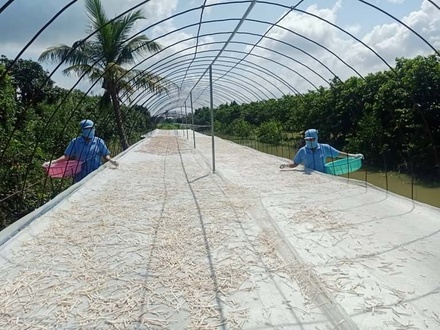 Trà mãng cầu loại 250 gam giá 70.000 đồng/100g
