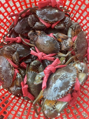 Hải sản tươi sống
