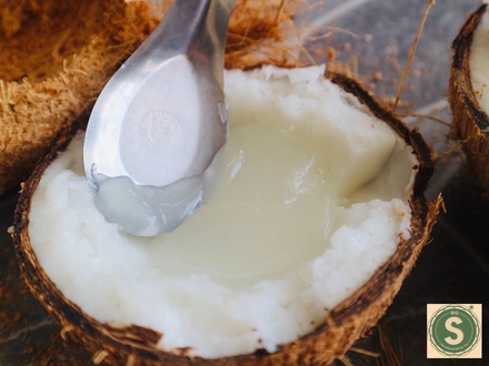 Dừa Sáp Loại 1