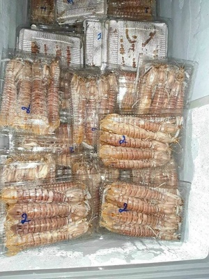 Hải sản tươi sống