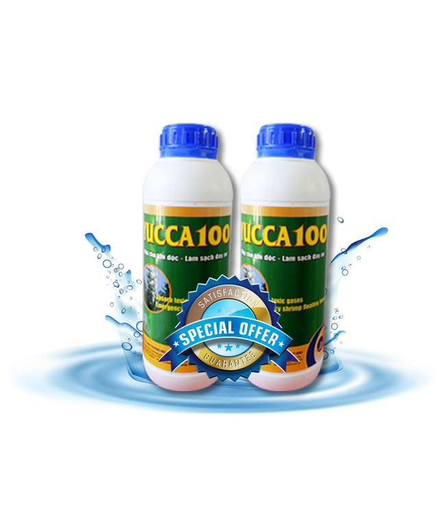 YUCCA 100 - Hấp thu khí độc trong ao nuôi cho ao nuôi tôm